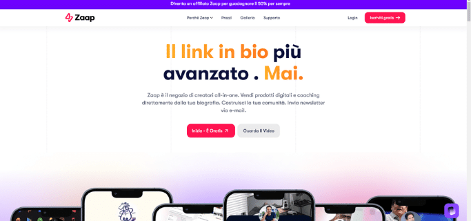 znaplink-homepage-min