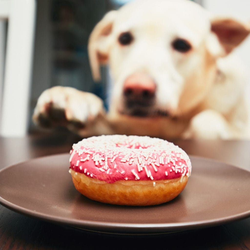 11 modi legali per rubare clienti ai tuoi concorrenti